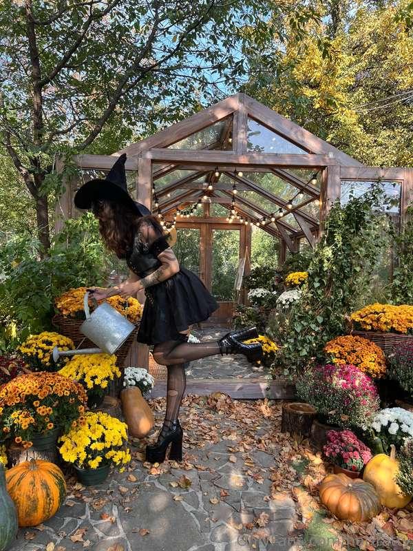 🕷️ Horror, cocktails and a little magic - the perfect Hallow..