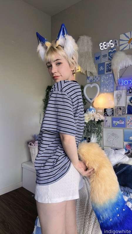 indigowhite image #23