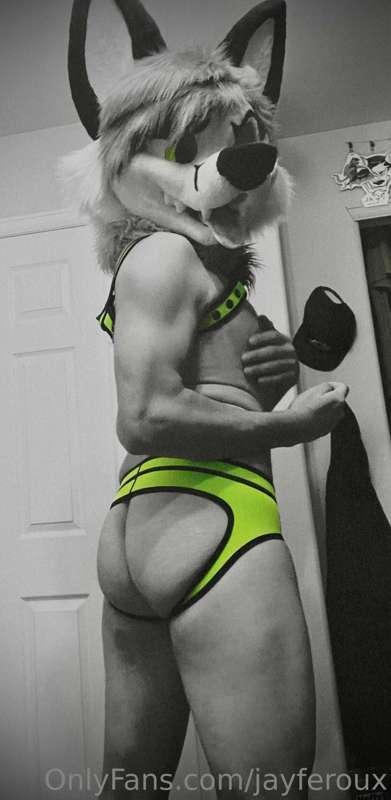 A little bit of the foxcat backside for ya ;P