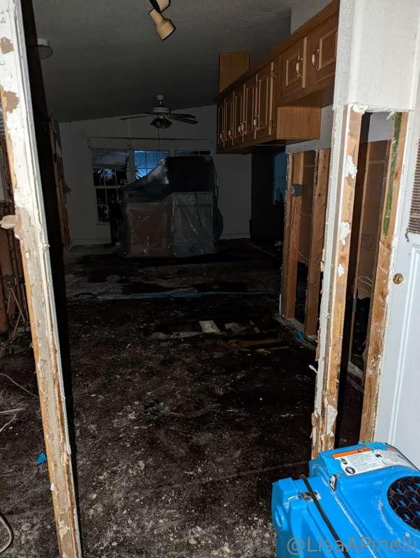 Hey there!!!
I mentioned that my house is being torn apart d..