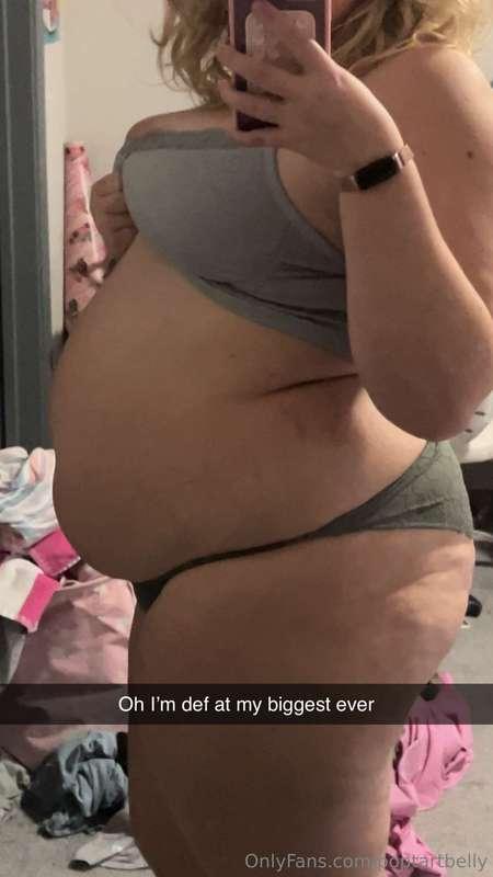 poptartbelly image #0