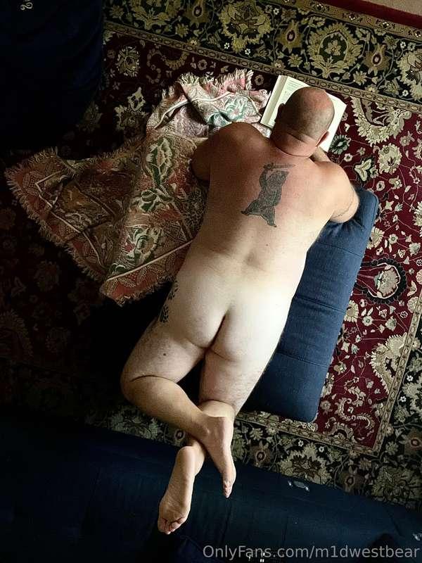 m1dwestbear image #3