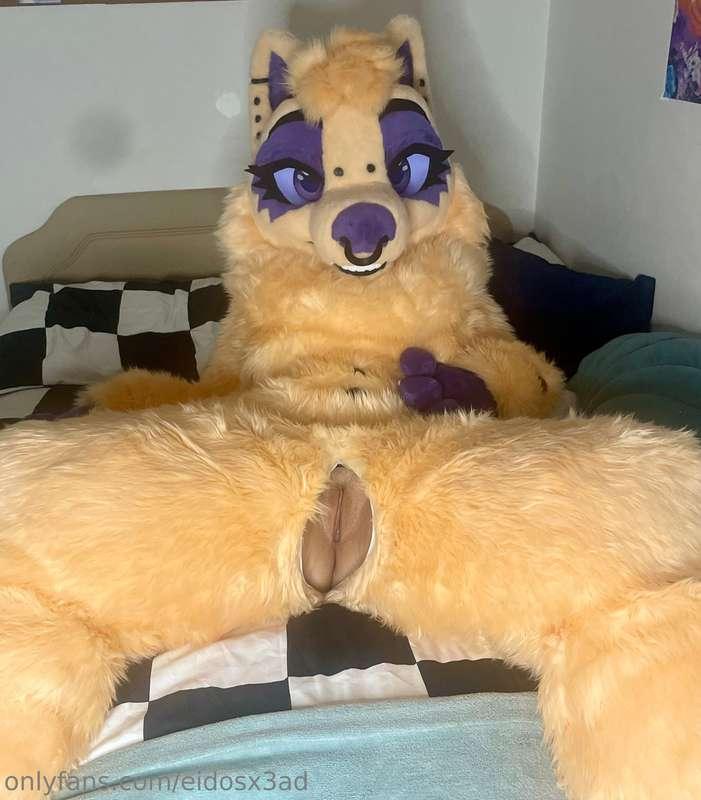 😏MURRSUIT ZIPPER PHOTO😏  the best feature of my new fullsuit..