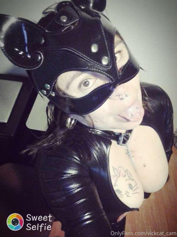 meowwww.... grrrrrrrrr me dejas lamerte???