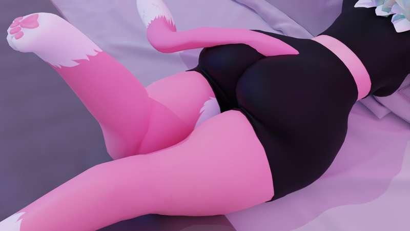 Cat Butt (Renders)