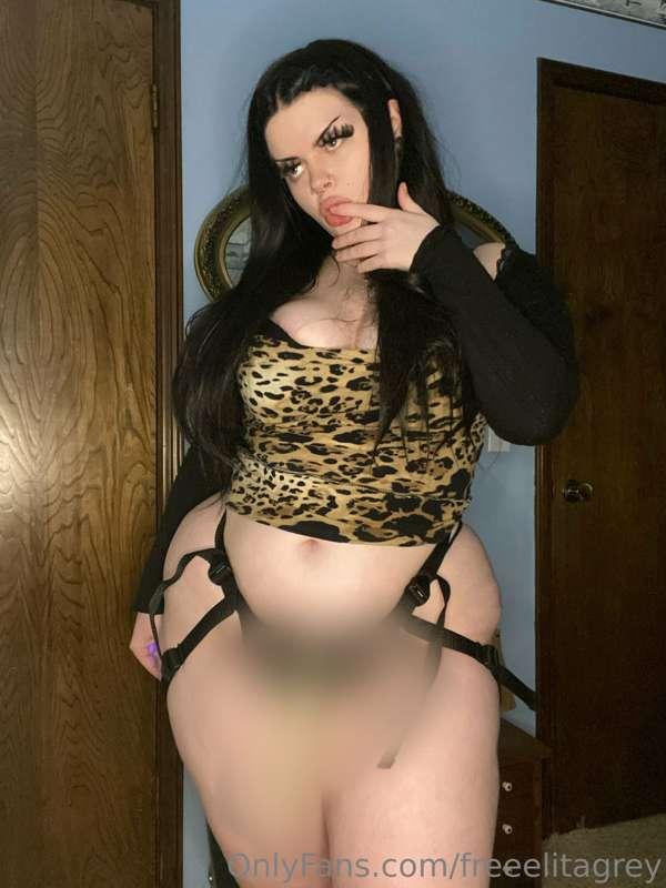 freeelitagrey image #0