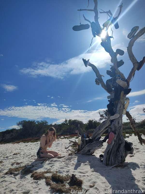 glitterandanthrax image #6