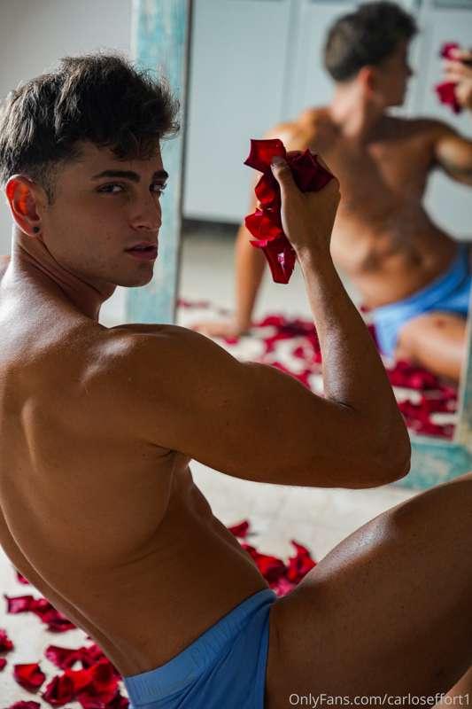 carloseffort1 image #1