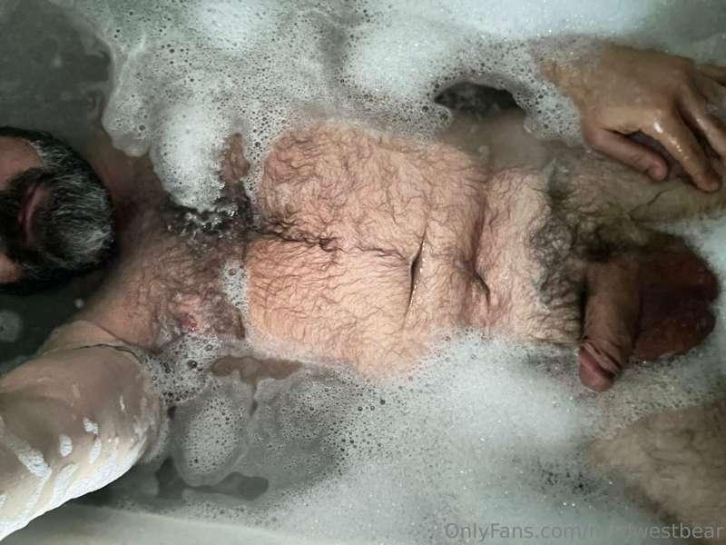 m1dwestbear image #5