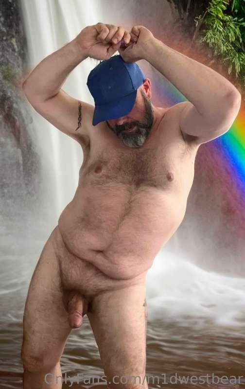 m1dwestbear image #3