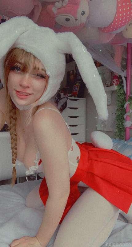 indigowhite image #166