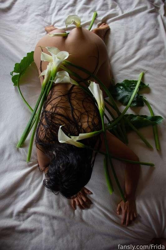 frida image #5