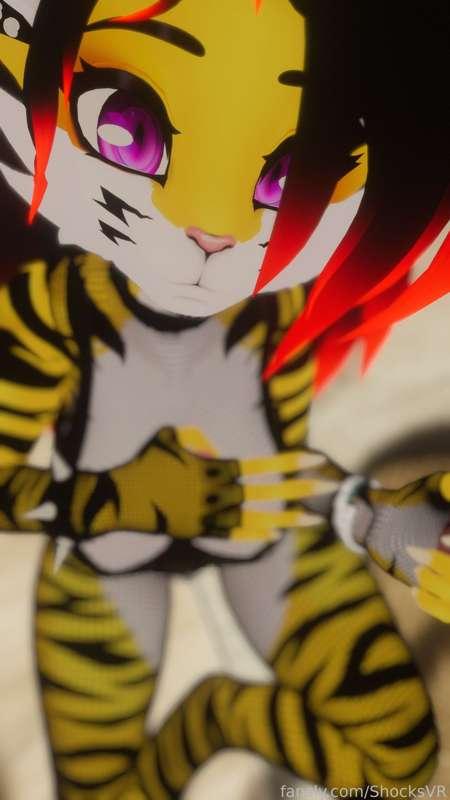 shocksvr image #1