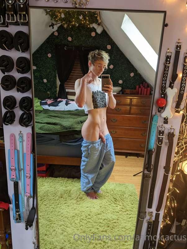 asmolcactus image #0