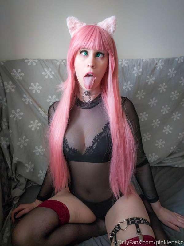 pinkieneko image #3