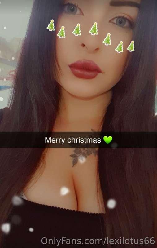 🎄🎄🎄🎄