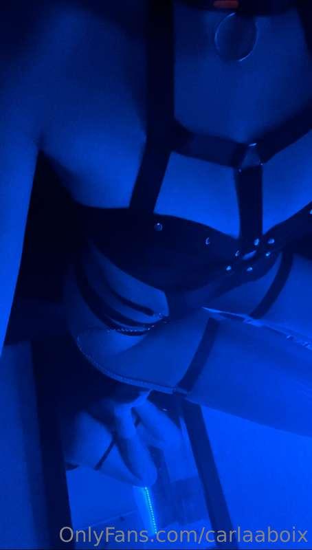 carlaaboix image #2
