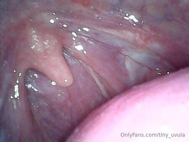 I got a new toy...can you tell what it is?First 5 comments g..