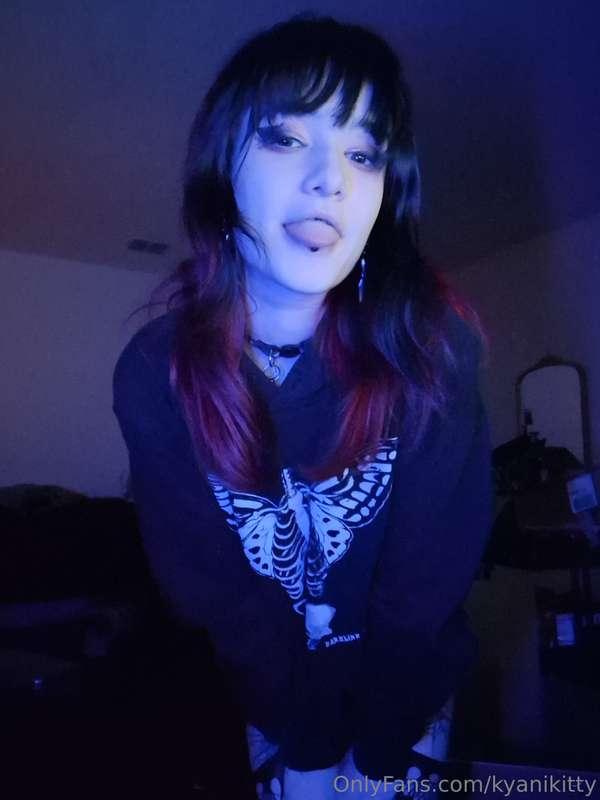 kyanikitty image #1