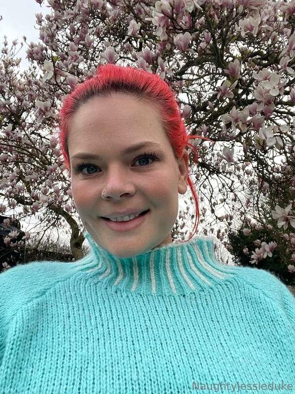 Doesn’t my bush look fabulous at this time of year? 🌳🌸👀