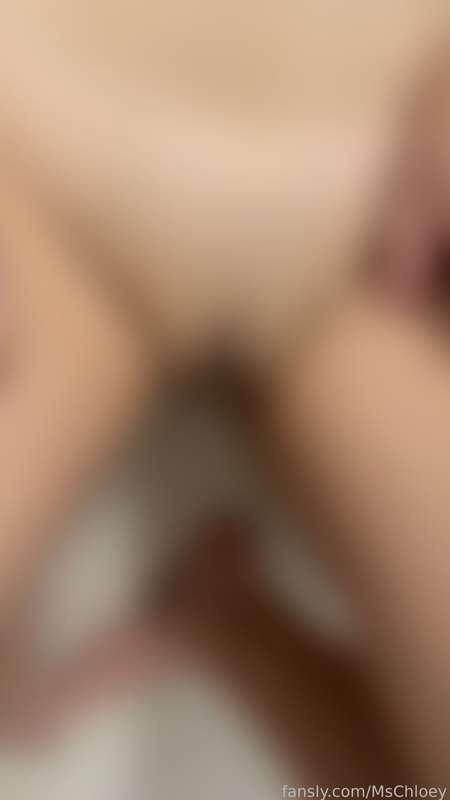 mschloey image #2