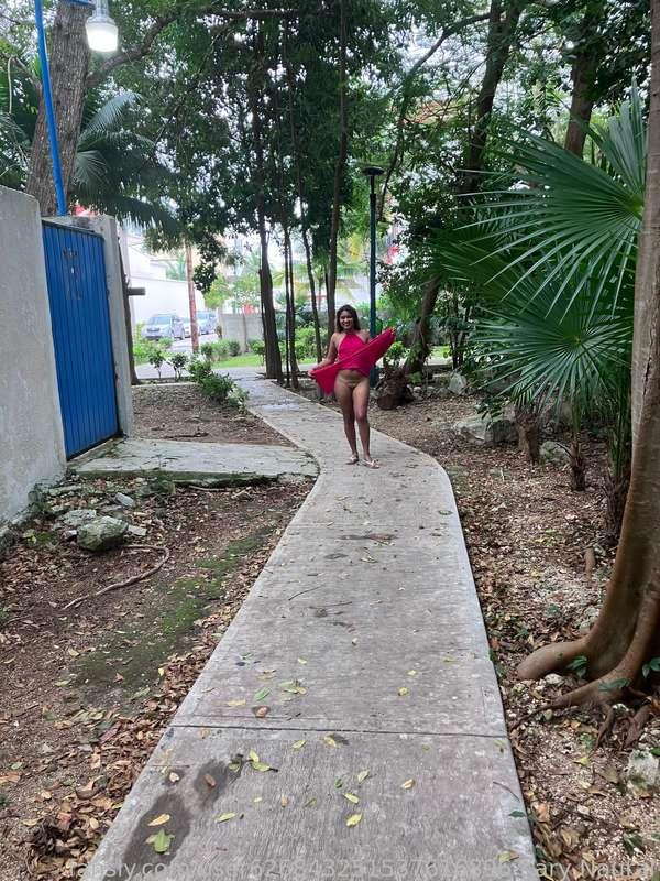 user626843251537616896 image #4