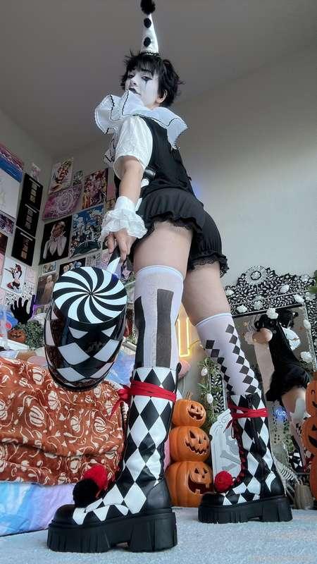 indigowhite image #106