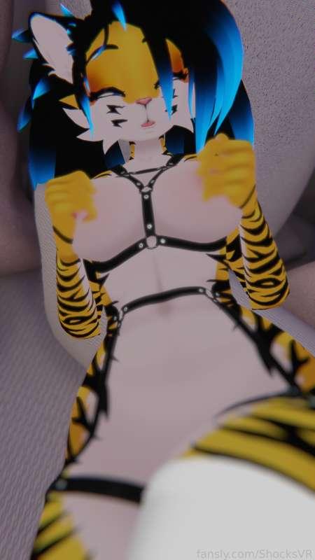 shocksvr image #8