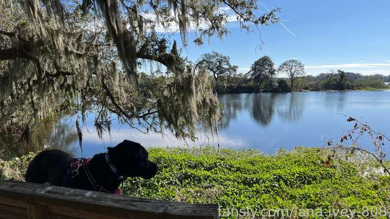 Hope you have a chance to enjoy some nature today ☀️  

Dolly Ivey says hi!