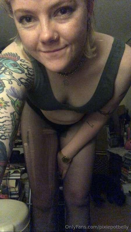 pixiepotbelly image #0