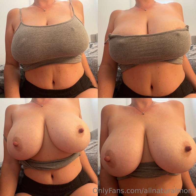 I call this layout The “Boobie” Bunch 😂   New this week! New..