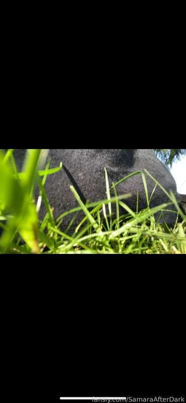 Stinky fart I did in the grass

(Moving all my videos from Onlyfans to here) 