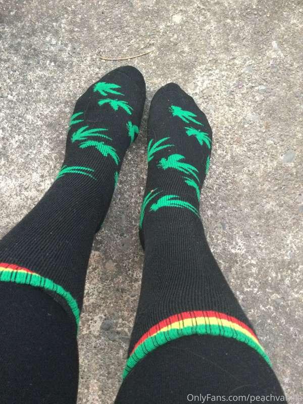 These little socks of mine are going to be put up for a raff..
