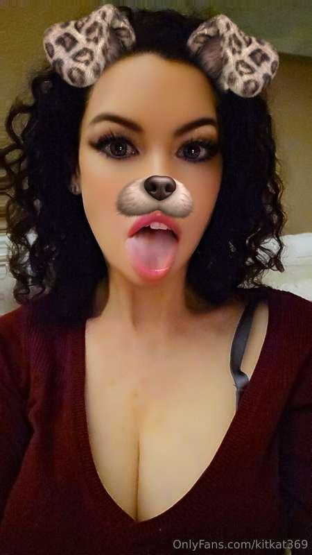 🖤🤍 Puppy Love 🖤🤍
