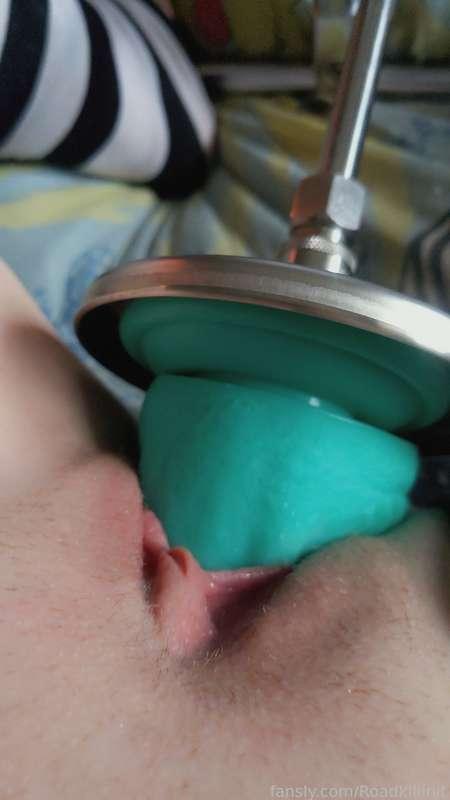 roadkillinit image #3