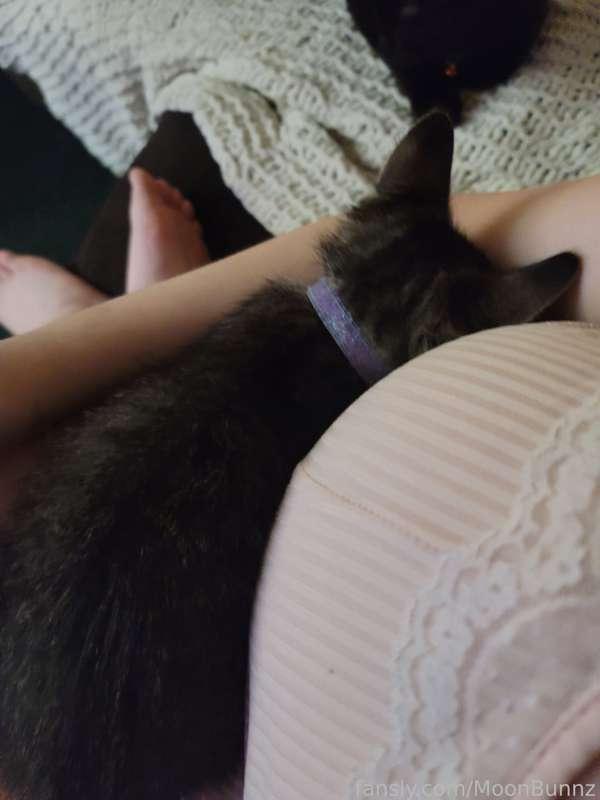 My kitten just constantly wants to cuddle lol. 