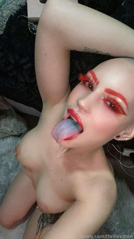 thrillxkitten image #1