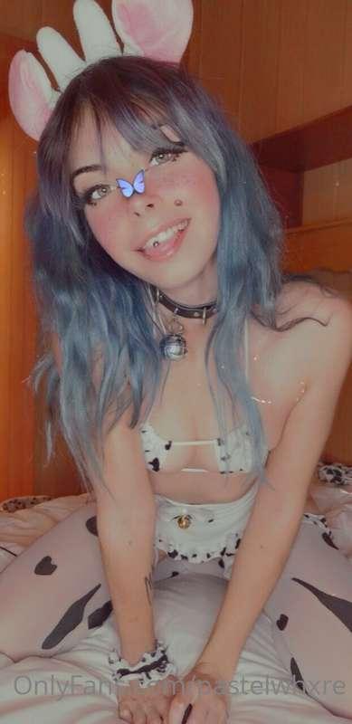 Moooo 🐮 It's ya favourite cow... girl? 🤍🖤