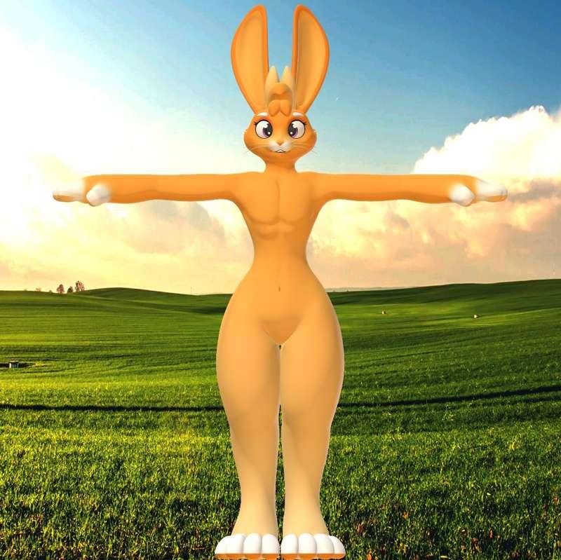 Early Model Preview: Rabbit