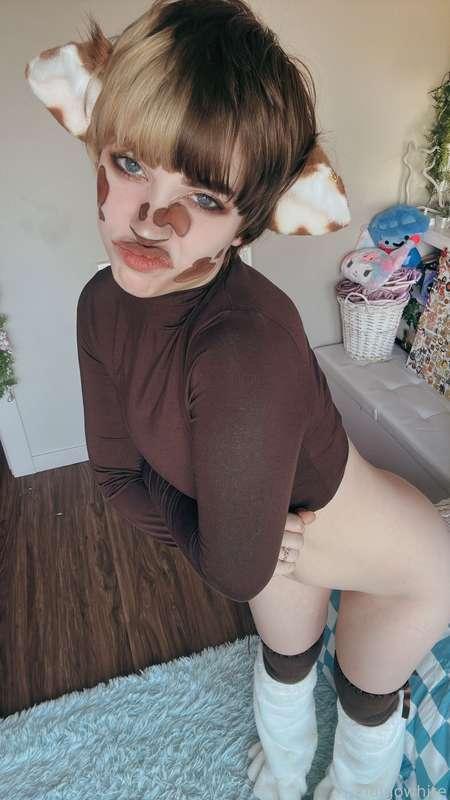 indigowhite image #244