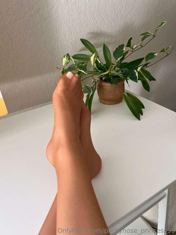 pantyhose_princess99 image #0