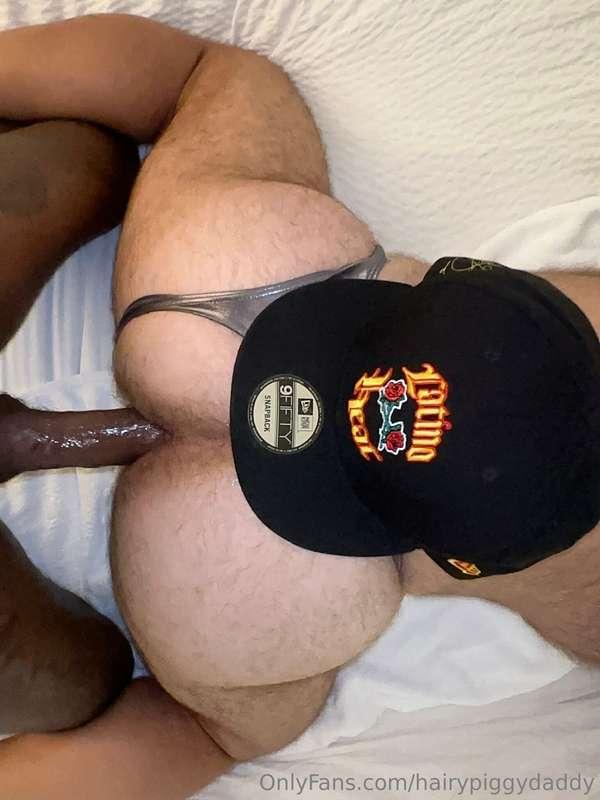 hairypiggydaddy image #2