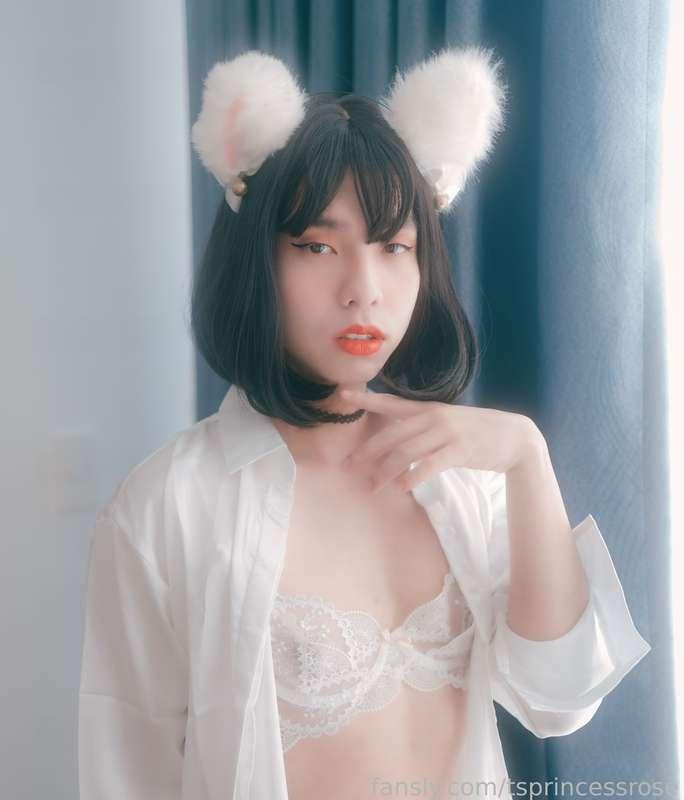 tsprincessrose image #1