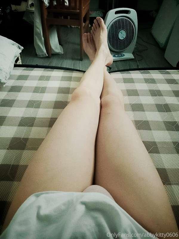 Morning my long leg
