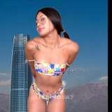 lizadiosa