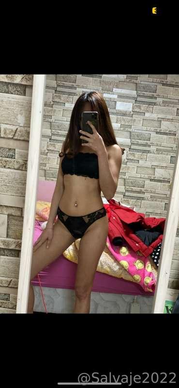 salvaje2022 image #0