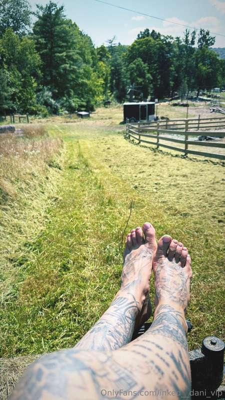 **Mowing faaarm day 🤭**