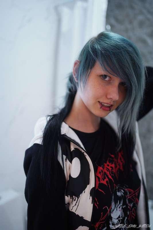 little_emo_kitten image #5