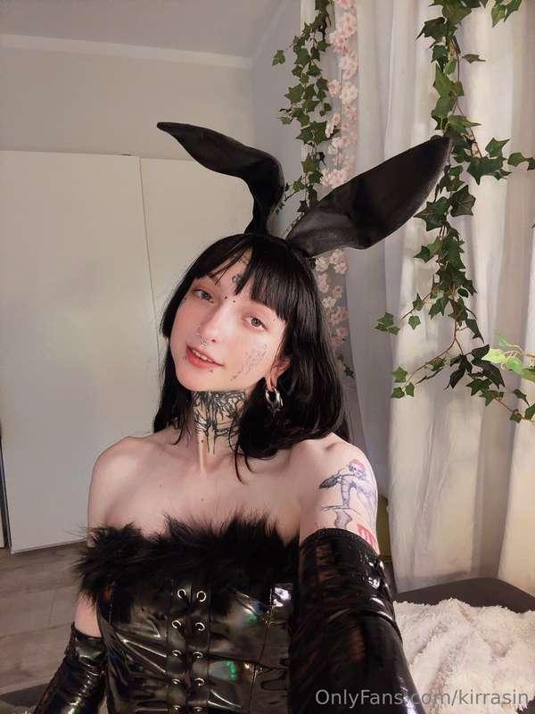 Such a cute bunny but so many dark thoughts in his head😈🖤