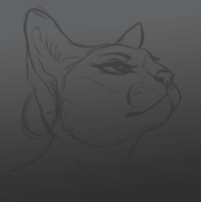 Headshot sketch (GIF)